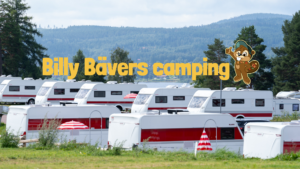 Billy Bävers camping