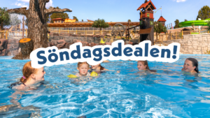 söndagsdealen